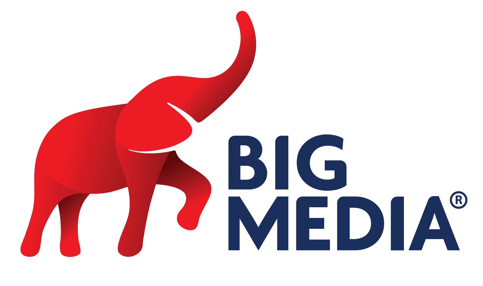 bmg
